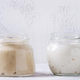 Sourdough starters